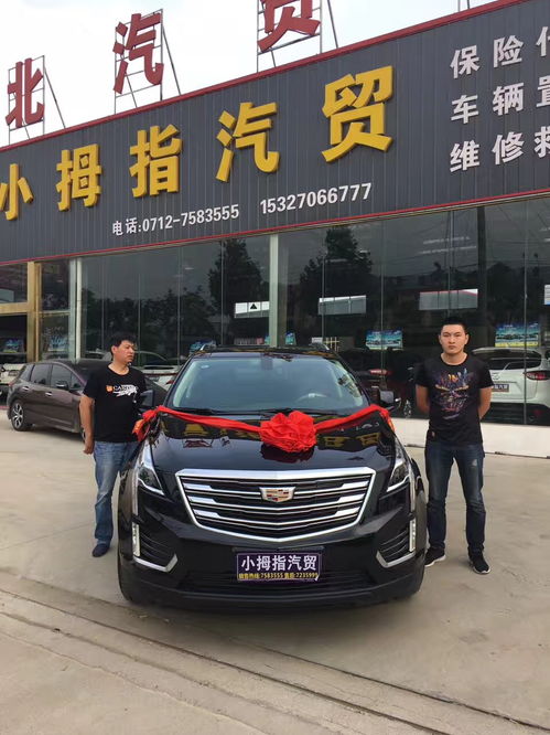 大悟小拇指汽貿 專業汽車信息咨詢服務指南